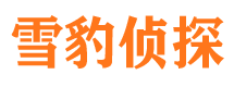 望城外遇调查取证